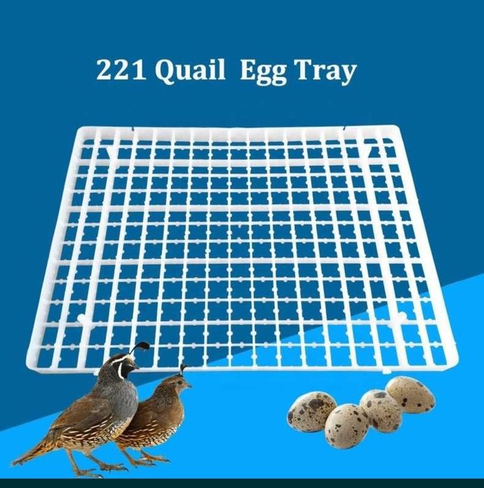 Латок бедана 221талик