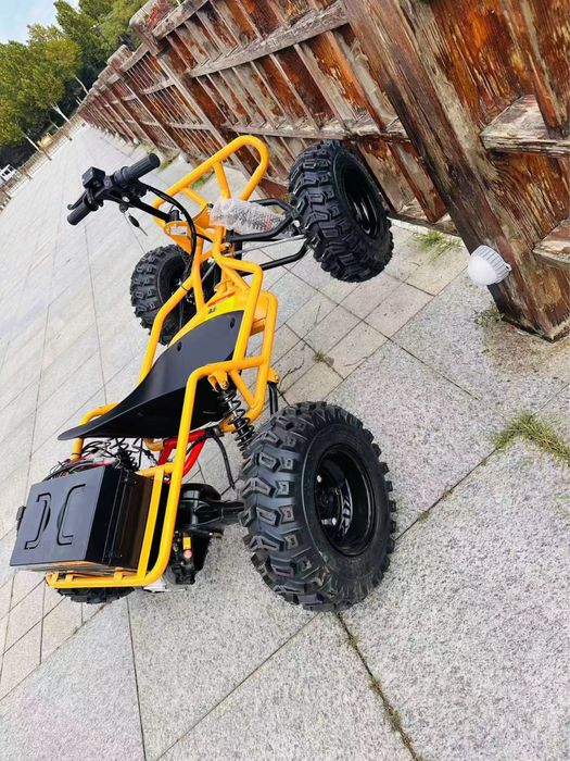 Картинг катталар ва кичкиналар учун