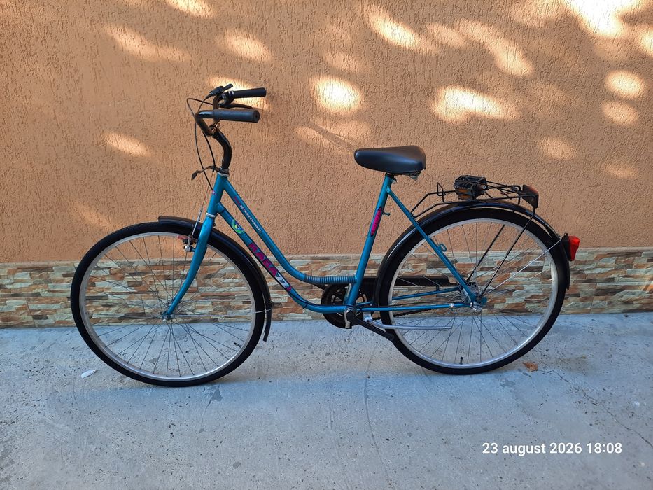 Bicicleta ragazzi de damă