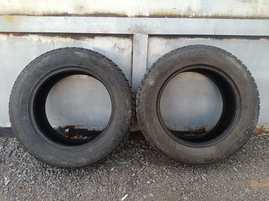 Шины зимние Maxxis R15.