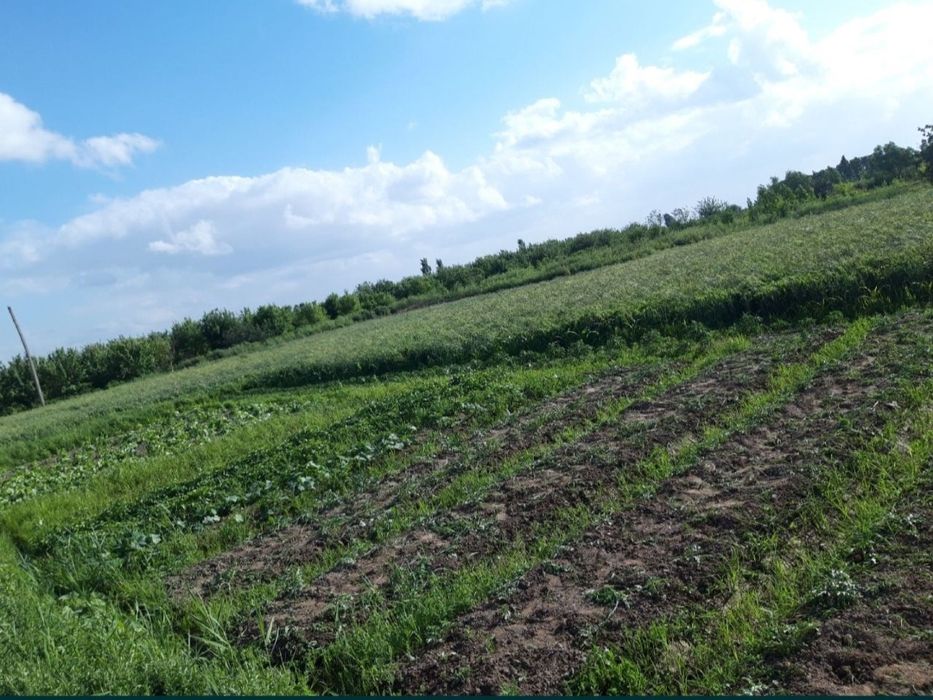 Ер орни, Фермерчилика молжаланган