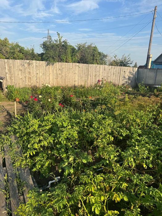 Дача СО " Геолог"