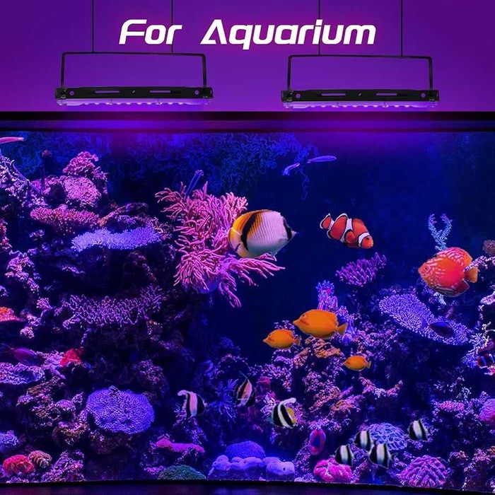 2 proiectoare UV 100 W rezistente la apa Disco/Club/party