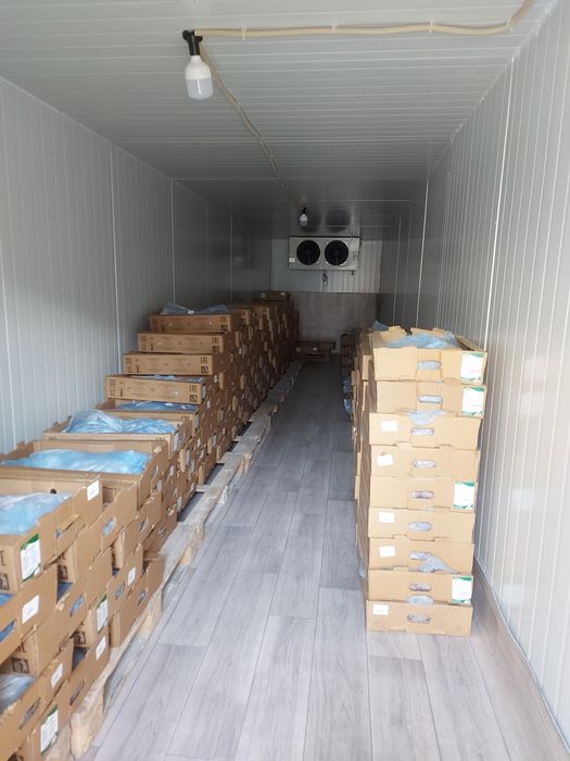 Морозильный контейнер