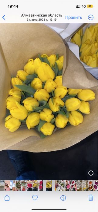 Тюльпаны оптом к 8 марта