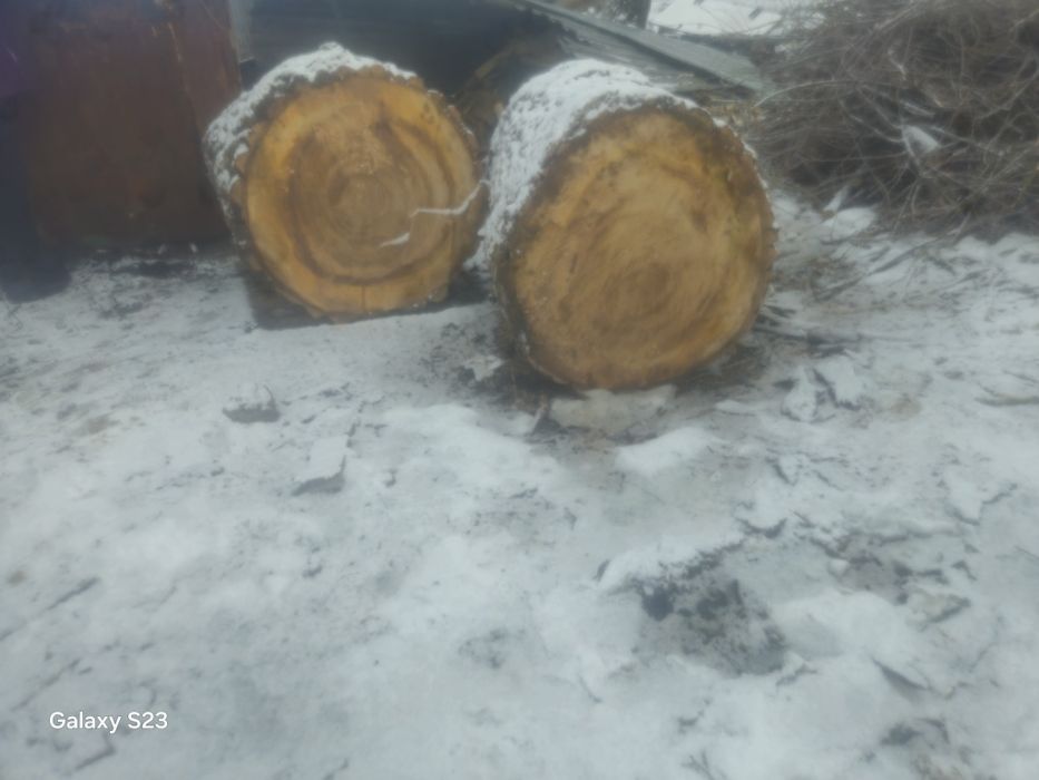 Пень для рубки мяса