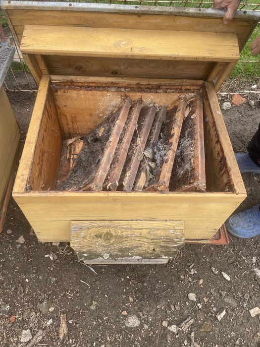 Vand stupi fara albine pe bucata sau cu totul