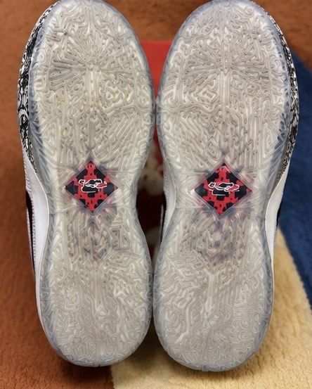 Баскетбольные кроссовки, Nike LeBron XX