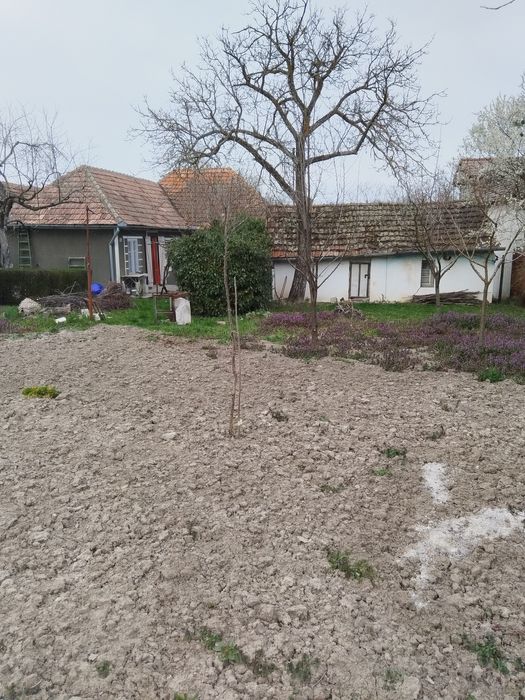 Casă de vacanță în Ginta