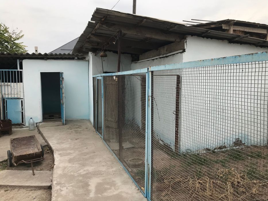 Продается дом Дустобод Солдатский