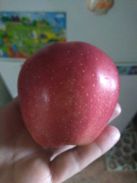 Продам дачу в чистом районе.  Трасса остановки.