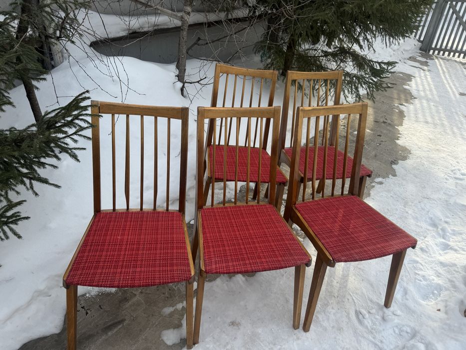 Стулья венские, буковые Польша