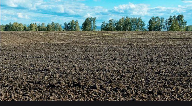 Продам землю 50 га