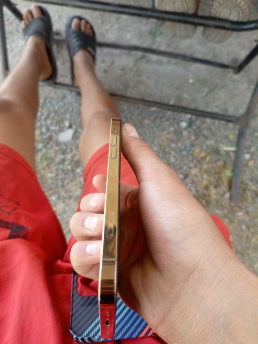 Iphone 12 pro sastayaniya doda