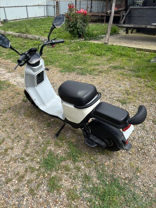 Se vinde tot ce se vede