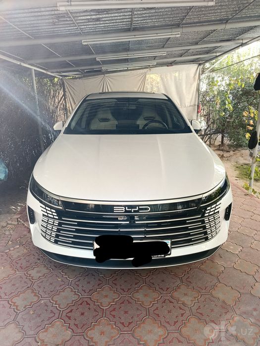 Byd chazor 3 позиция 2025