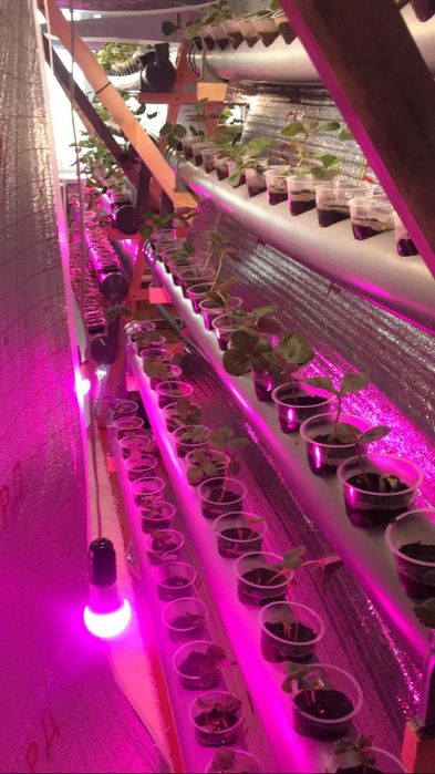 Трубы с отверстиями