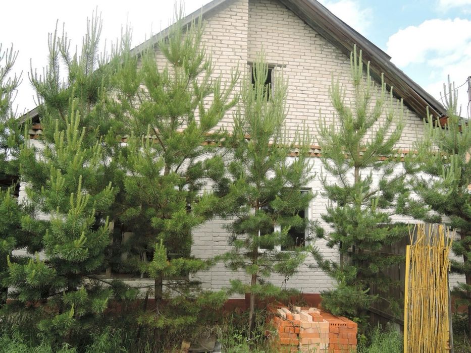 Продам коттедж Сосновый бор