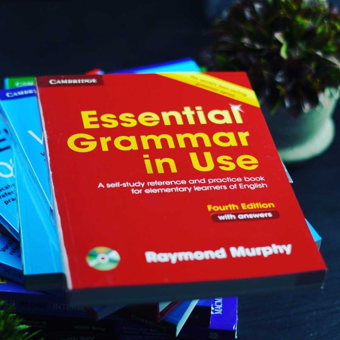 English grammar in use book essential grammar in use