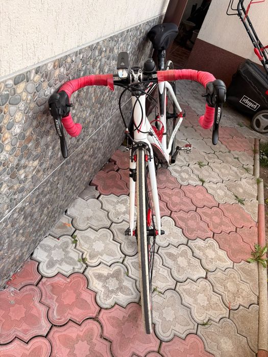 Cursiera Full Carbon CAMPAGNOLO VELOCE, Ritchey, 20 viteze, stare impecabila
