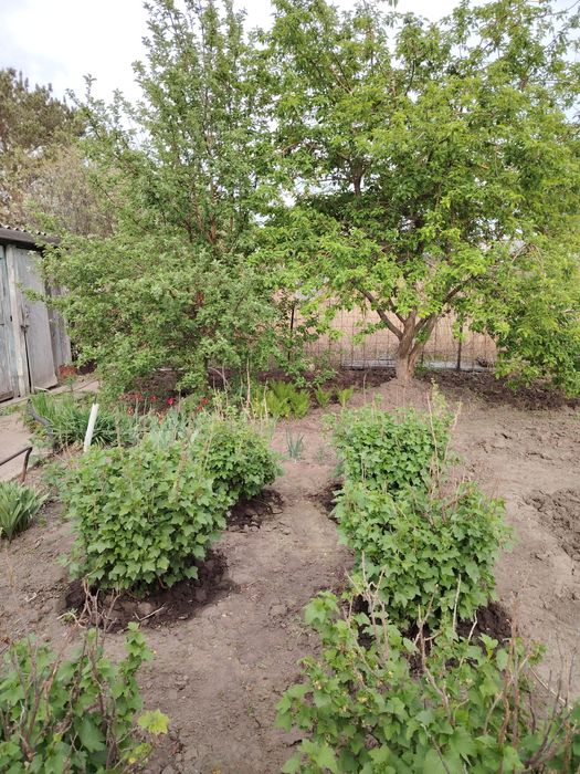 Продажа дача летний вариант