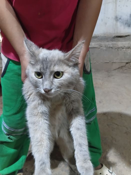 Хадияга онаси ва болалари