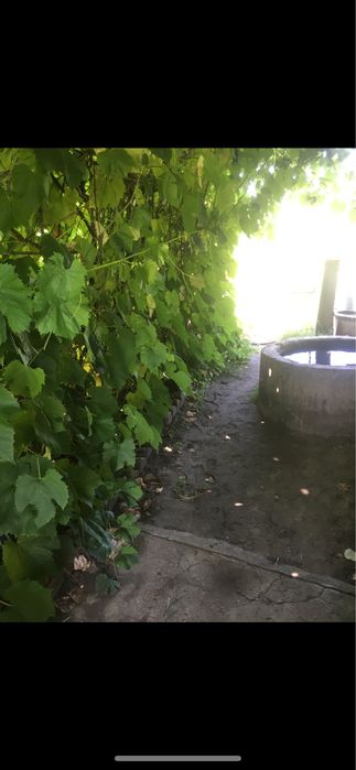 Продам дачу в СО Садовод