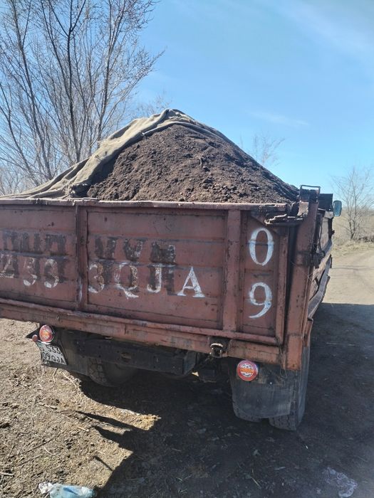 Перегной  Конский Гавяжый