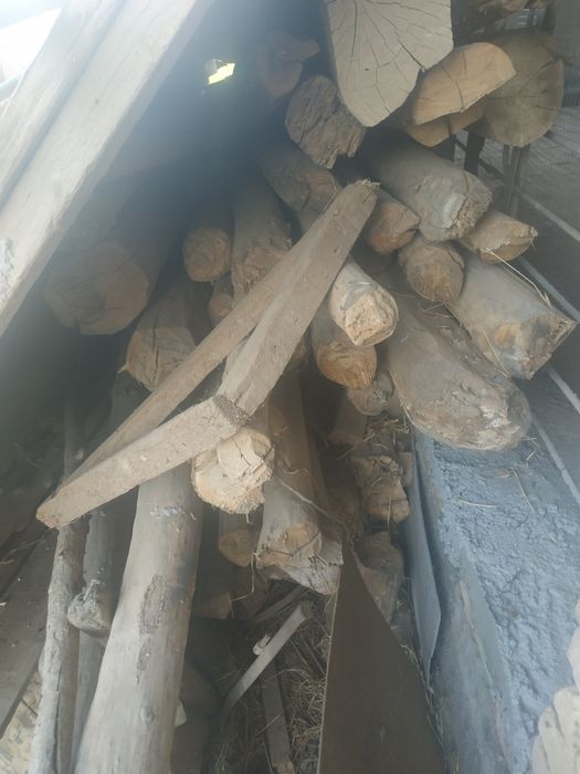 Quruq tayor teraklar bor