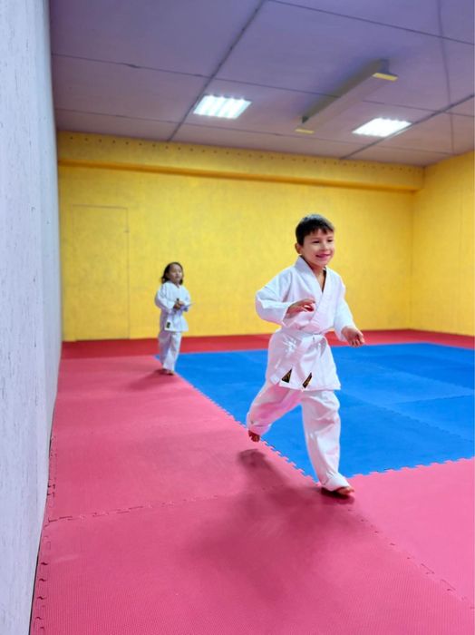 Карате, Таеквондо, Фитнес