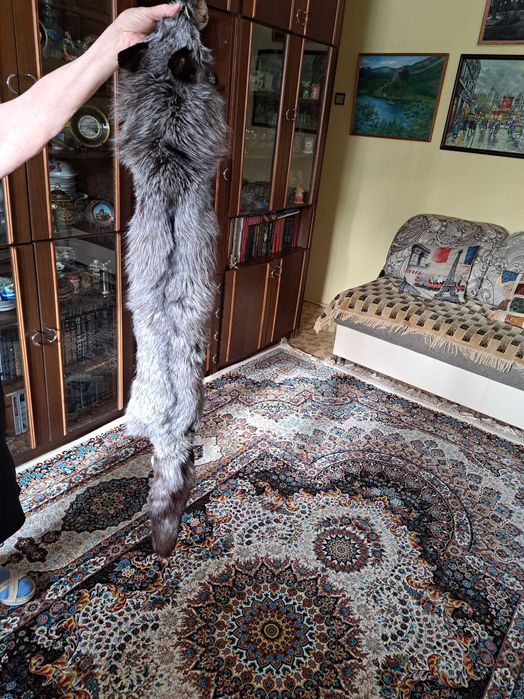 Продам шкурку чернобурки