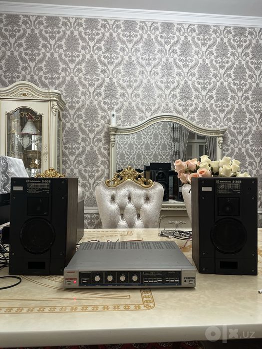 Uselitel ВЕГА 10У-120-стерео Hi-Fi