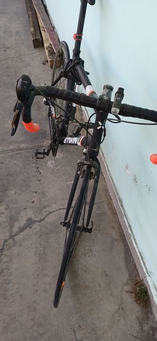 cursiera triban500 XL