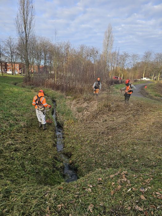 Defrisari terenuri Cosit iarbs, parcuri, păduri