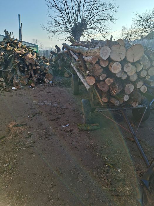 Vand lemne:salcam, stejar si nuc uscat!Cioate sparte!