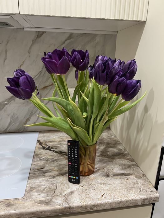 Тюльпаны без упаковки, 15 штук