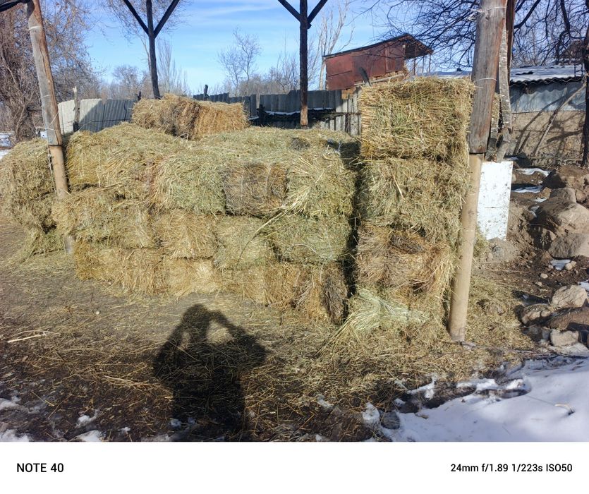 Продам сена срочно