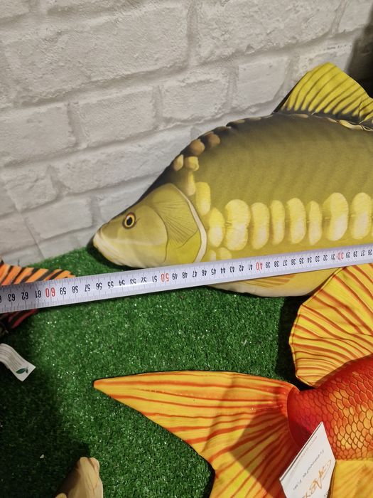 Възглавници риби разнообразие