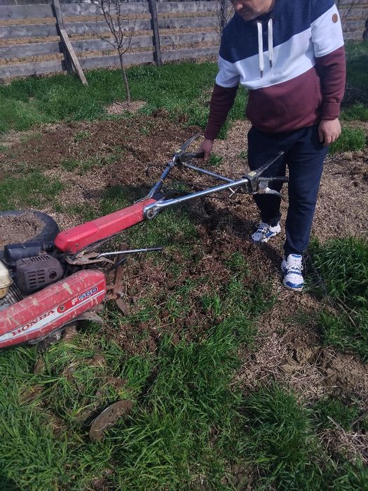 Motocultor Profesional Honda F560