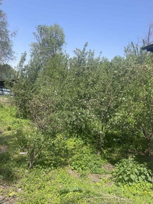 Продам дом в Тургени