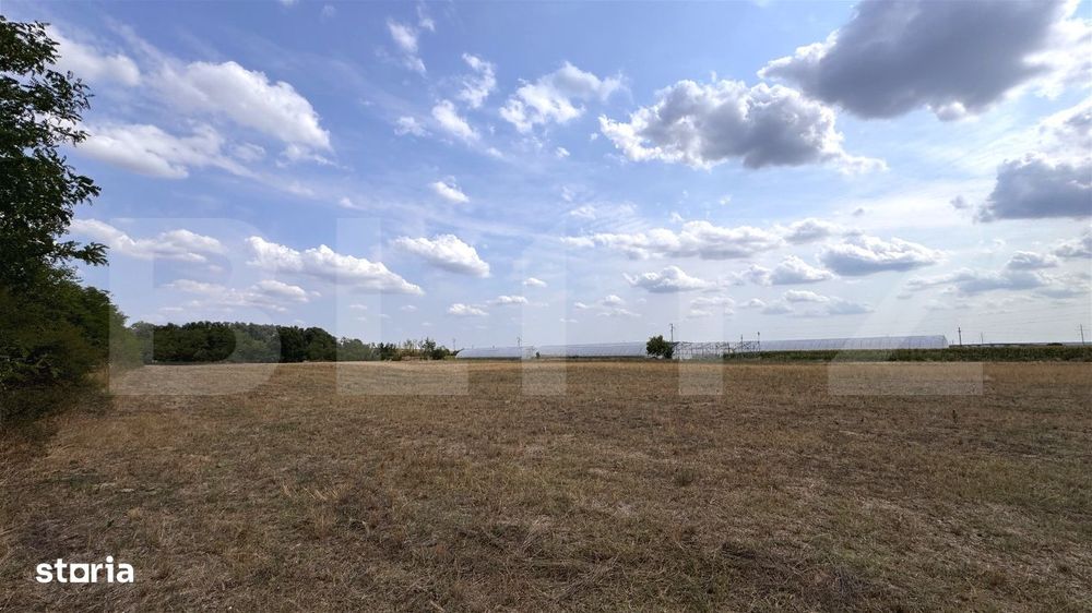Teren EV si IV cu casa, 29.600 mp, utilitati si acces facil, Albesti