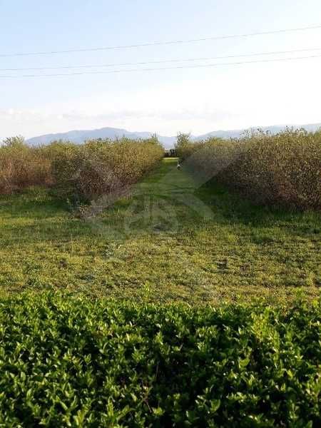 Продава се Парцел в с. Караджово, Област Пловдив - 25000 кв.м за 3 €/кв.м - Снимка #2