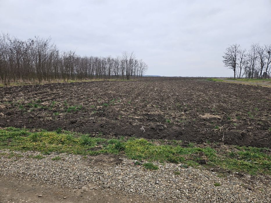 Teren intravilan Movilita, Ialomita