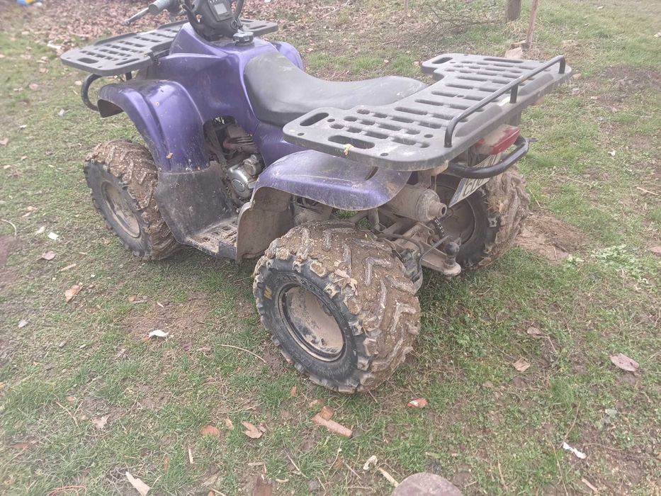 Atv Motortek inmatriculat