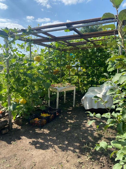 Дача на федоровке