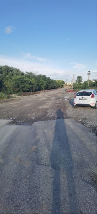 Teren de vanzare cernica