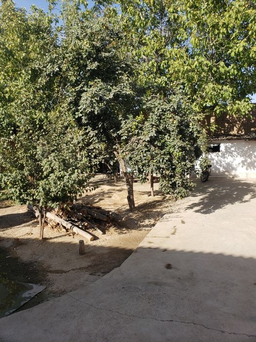 Сагдийдан ховли сотилади