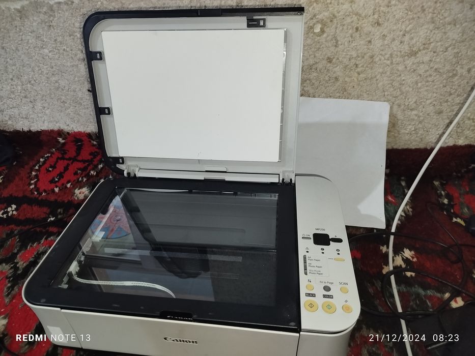 Printr Canon MP250