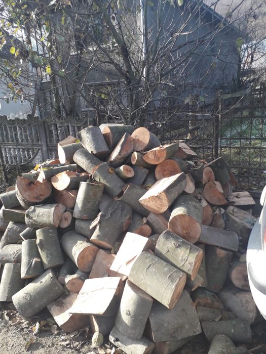 Lemn de foc - fag esența tare, taiate si crepate la cerere