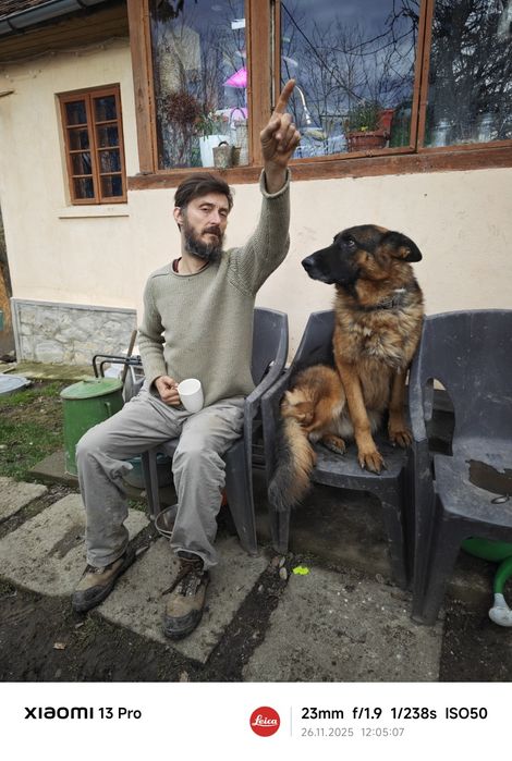 Ofer spre adopție Ciobanesc German cu pedigree